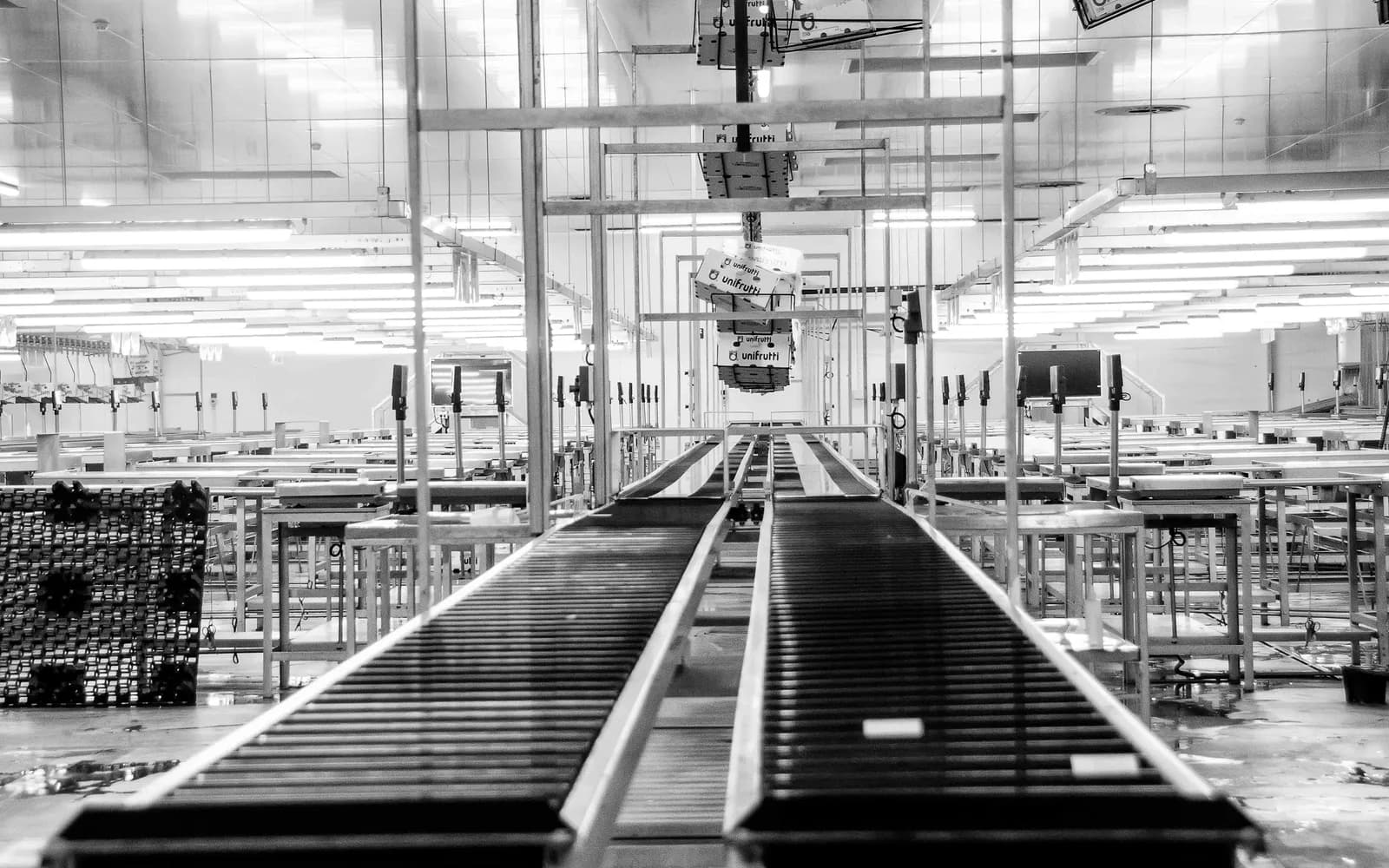 A conveyor extending through a factory production line in black and white